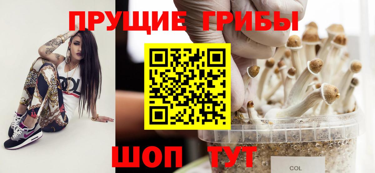 Галлюциногенные грибы прущие грибы  Вход с VPN  Киселёвск  Псилоцибиновые грибы прущие грибы 